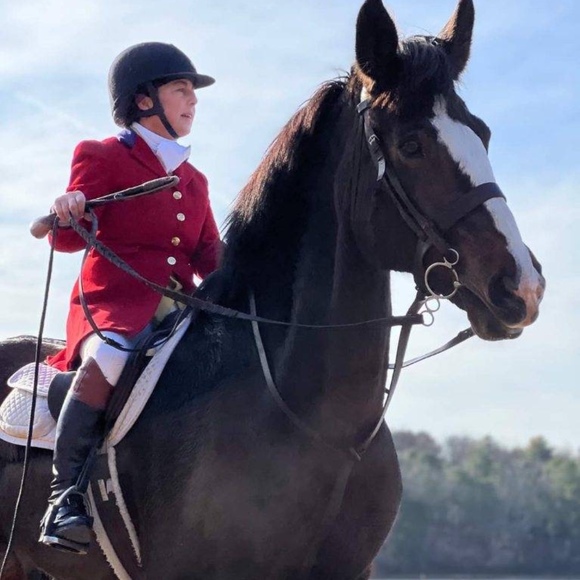 Meet your Posher, Sara - Picture 1 of 1